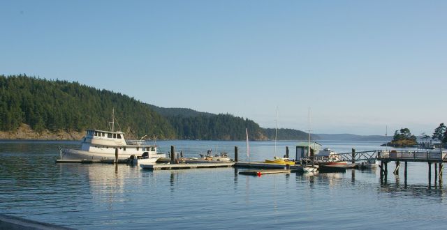 Kitty B. And Lieberhaven Marina