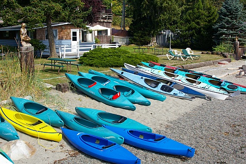 kayaks