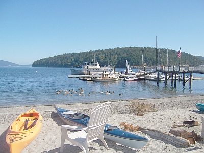 Canadian Geese and The Beach