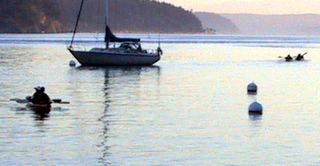 Orcas Island Kayak Rental at Lieber Haven Resort and Marina, Orcas Island WA.